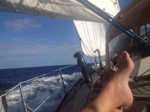 13254778_1748754135338928_4850818369996441880_o